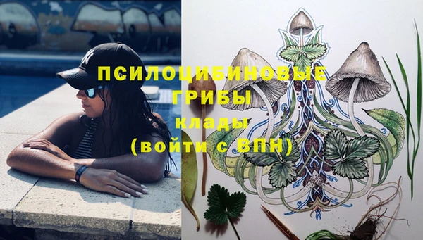 ALPHA PVP Алексин