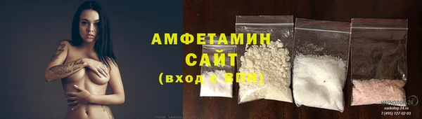 прущие грибы Абинск