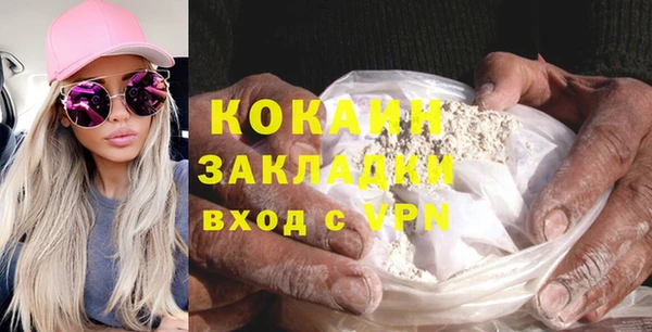 прущие грибы Абинск