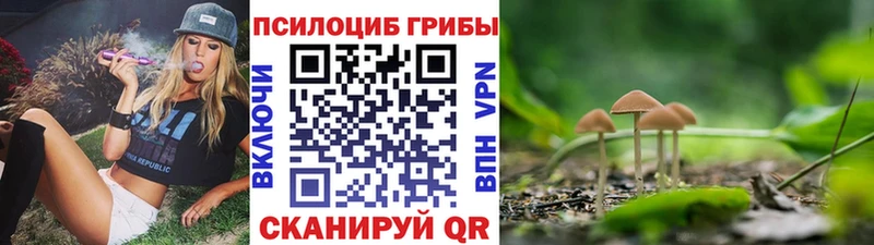 что такое   Черногорск  MEGA сайт  Галлюциногенные грибы мухоморы 
