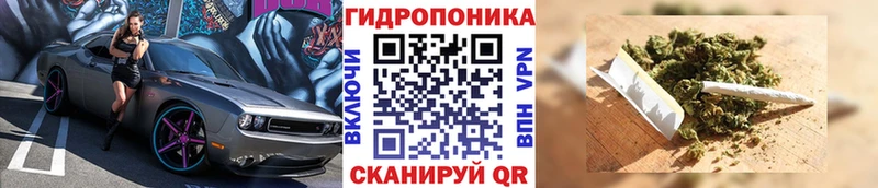 Шишки марихуана ГИДРОПОН  сайты даркнета официальный сайт  Черногорск 